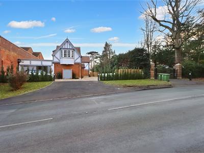 Picture 25